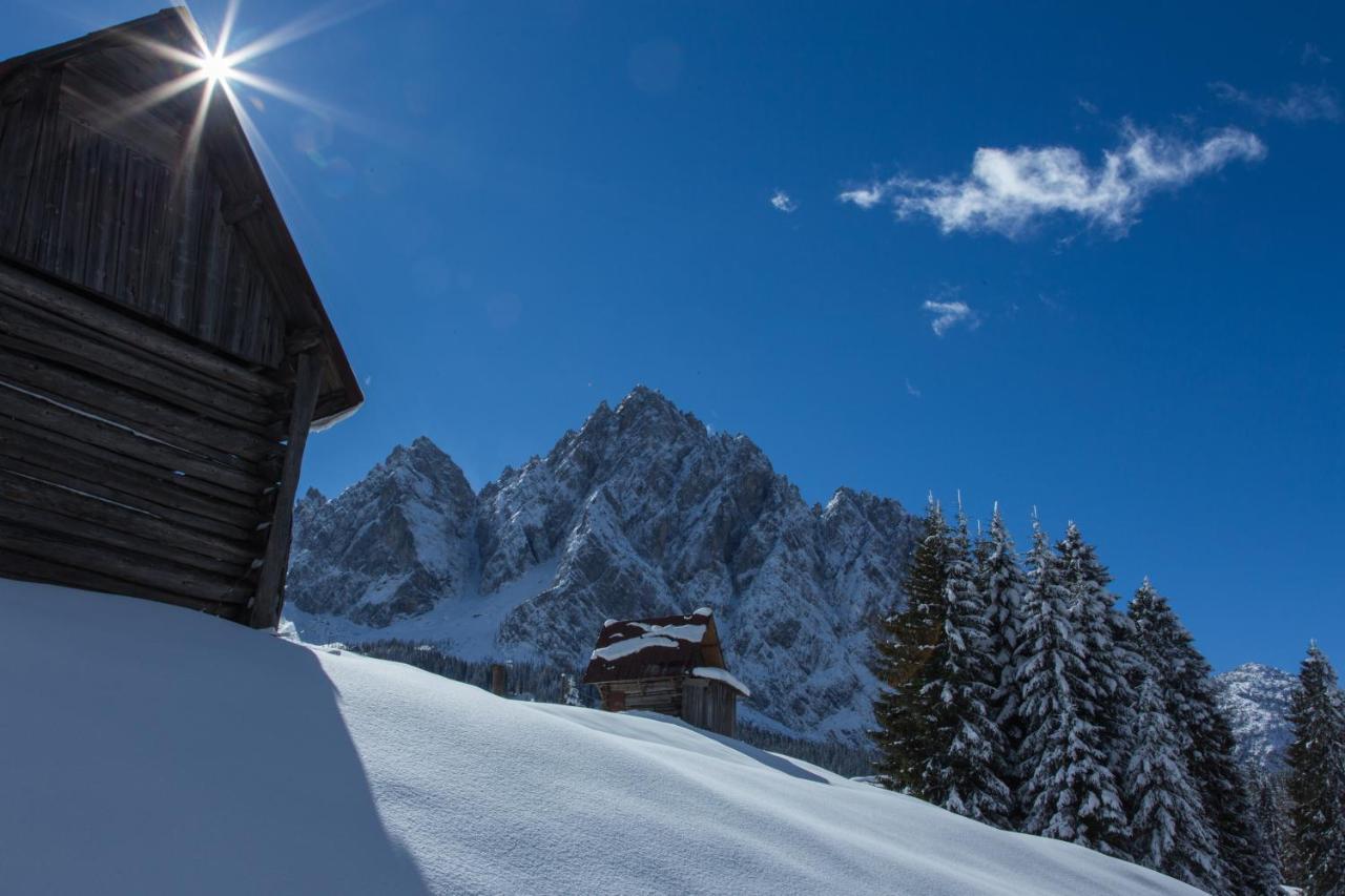 Maison Boutique Fior D'Alpe Sappada Zewnętrze zdjęcie