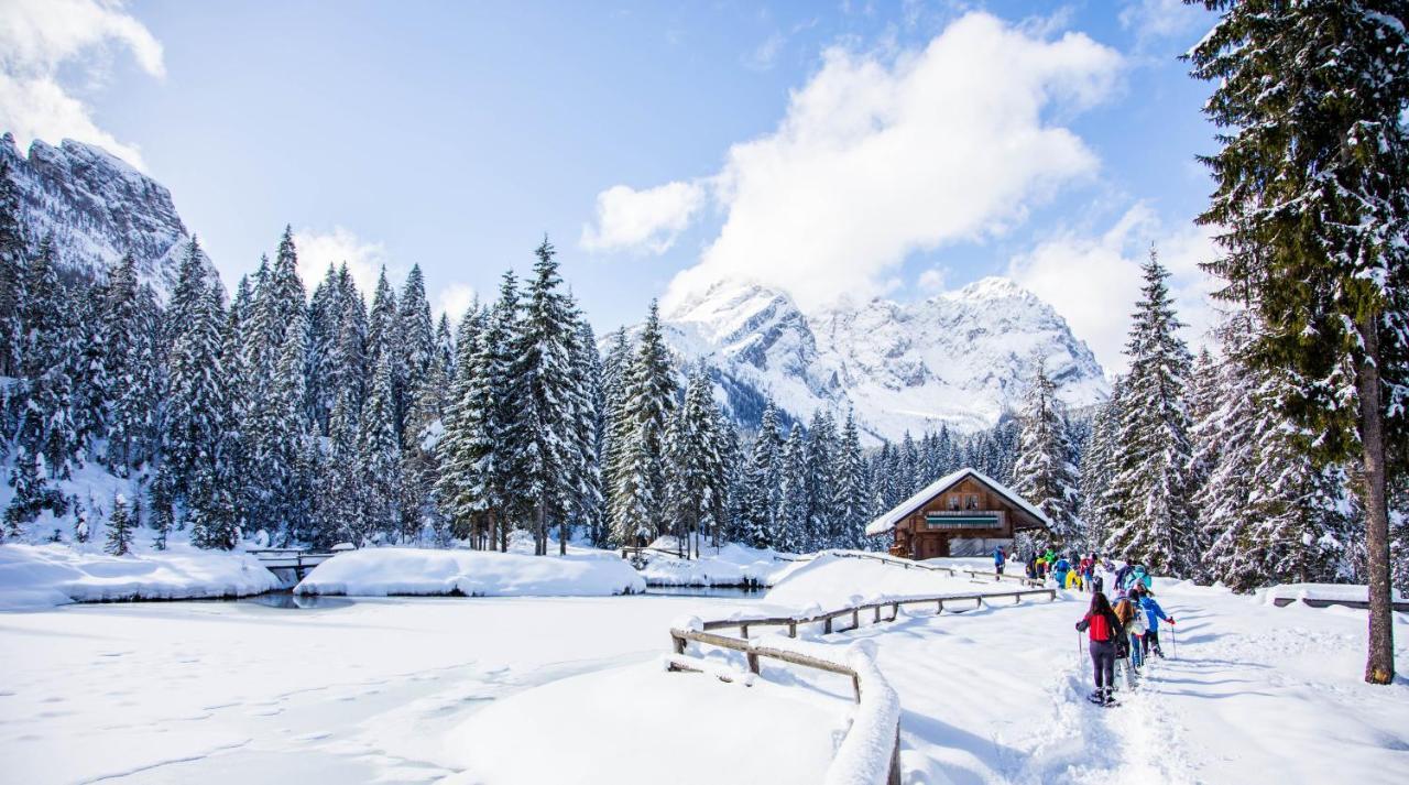 Maison Boutique Fior D'Alpe Sappada Zewnętrze zdjęcie
