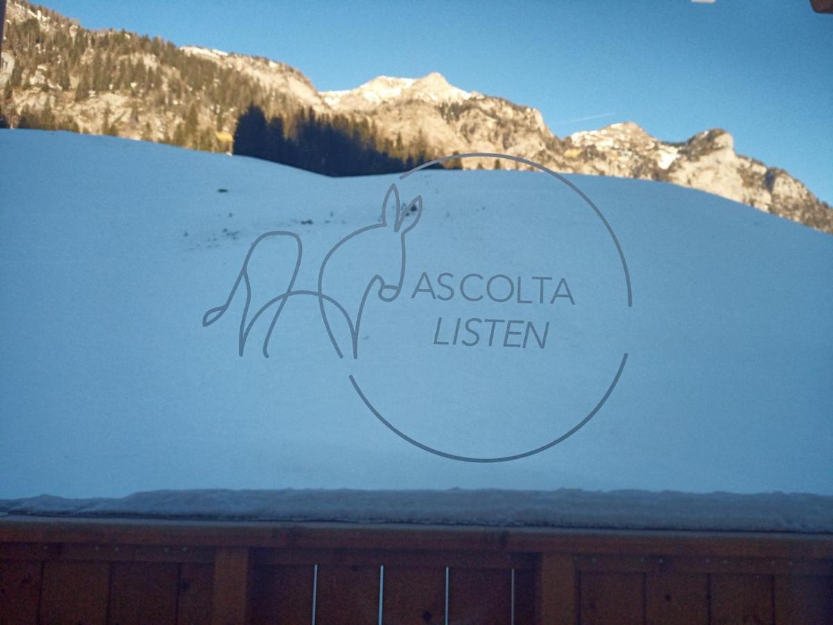 Maison Boutique Fior D'Alpe Sappada Zewnętrze zdjęcie